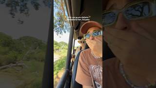 travel to Sri Lanka 🇱🇰 safari in yala national park 🏞️ Sri Lanka srilankatraveltourism [upl. by Worl]