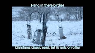 Birds hanging on to feeders in snow and wind [upl. by Dnomyad]