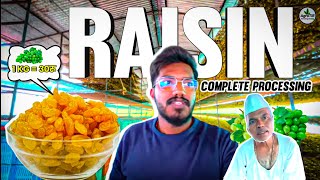 My First AgroVlog 👨‍🌾 Raisin Processing 🫐 10Tons😱 in 15days🔥 Agrotill  farming agriculture [upl. by Enoyrt]