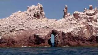 Baja and the Sea of Cortez on a Moorings 47 foot Powercat [upl. by Allebram411]