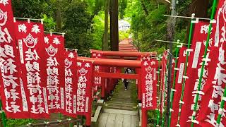 Sasuke Inari Jinja onedaytrip kamakura [upl. by Akihdar]