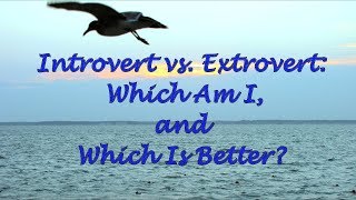 Introvert vs Extrovert Which Am I and Which Is Better [upl. by Noraj]