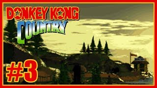 Donkey Kong Country SNES guía 101 3 Vine Valley [upl. by Eelatsyrc]