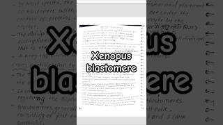 Xenopus blastomere shorts notes msc bsczoology biology [upl. by Kanor219]