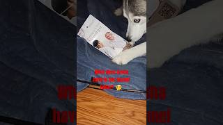 a neurology pamphlet music hiphop underground dog husky funny neurology [upl. by Steddman767]