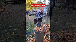 Leaf Removal Trick using a weed Wacker leaves leaf hometips yardwork lawncare tools yard diy [upl. by Aronoff780]