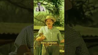 vamosrirqueavidaeboa seriadoantigo humor comedia series memes mazzaropi [upl. by Ellenrahc]