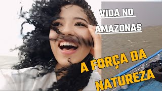 VIDA NO AMAZONAS  A FORÇA DA NATUREZA [upl. by Alexandro708]