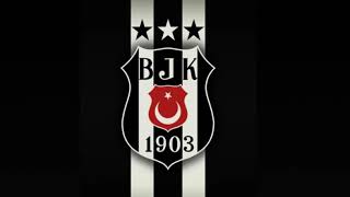 Beşiktaş Istanbul Goal song [upl. by Lewej]