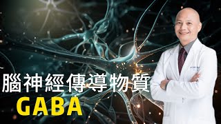 助眠 減壓 抗焦慮的大腦物質－GABA｜如何用自然的方式提升GABA｜吃補充劑為什麼沒用⁉️可以吃什麼食物？ [upl. by Moitoso140]