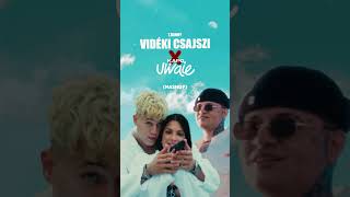 TDanny x Kapo  Vidéki csajszi X Uwaie Mashup tdanny [upl. by Esetal]