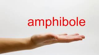 How to Pronounce amphibole  American English [upl. by Einnol]