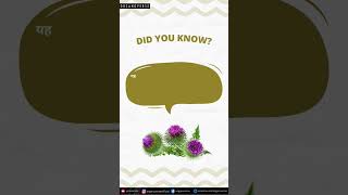 Did you know  Milk Thistle Hindi  Organoverse [upl. by Siraved]