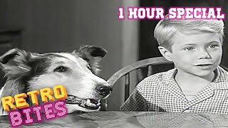 1 Hour Special  Lassie  Full Episodes  Old Cartoons [upl. by Bonacci]