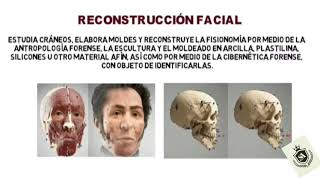 sistema de identificación  reconstrucción facial  criminalistica y criminologia [upl. by Aiva]