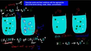 3 Strong weak dilute and concentrated acids HSC chemistry [upl. by Straub]