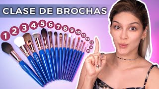 KIT BÁSICO DE BROCHAS PARA PROFESIONALES DEL MAQUILLAJE [upl. by Onairam]