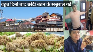 Cooking Of Morel Mushroom गिन के देखकर हैरान हूँ इतनी मिल गई [upl. by Barmen]