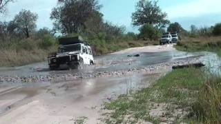 Moremi Game Reserve Botswana HD [upl. by Riki]