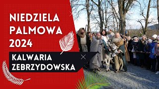 Niedziela Palmowa 2024 w Kalwarii Zebrzydowskiej [upl. by Bamberger]