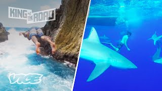 Swimming with Sharks amp Cliff Jumping in Hawaii  KING OF THE ROAD S2 E9 [upl. by Aihtnyc]