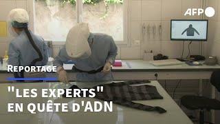 ADN et coldcases à Bordeaux les quotexpertsquot traquent la quotvérité biologiquequot  AFP [upl. by Duky293]