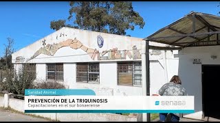 Prevención de la Triquinosis Capacitaciones en el sur bonaerense [upl. by Sibyls]