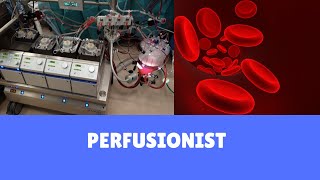 Perfusionist  what we do [upl. by Eceinal]