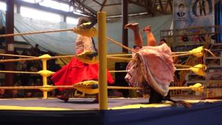 Cholitas wrestling [upl. by Omar952]