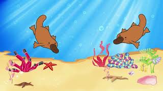 Platypus Party  Song for Kids [upl. by Ennylhsa]