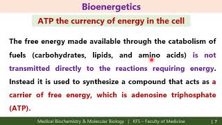 bioenergetics [upl. by Sebastien]