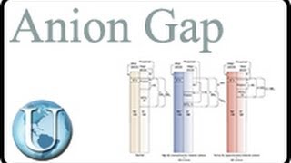 Anion Gap y su relacion con pH electrolitos y trastornos acido base [upl. by Odiug98]