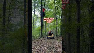 Bow Hunting Hang On Tree Stand Going Up  1 Month Out 🏹🦌 Hunting BowHunting DeerHunting [upl. by Egamlat]