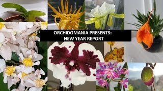 Orchidomania Presents New Year Report [upl. by Joela]