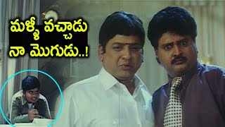 మళ్ళీ వచ్చాడు నా మొగుడు  Sudhakar amp AVS Hilarious Comedy Scenes  Kurradochadu movie  TMT [upl. by Arin]