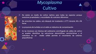 Tema 18 Mycoplasma y Ureaplasma Parte 22 [upl. by Erroll]