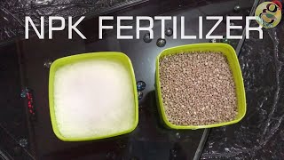 NPK Fertilizer for Plant Application in Gardening How Much and How to Use  English [upl. by Htebsle]