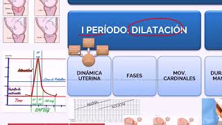 Priming Obstetricia USAMEDIC RepasTeóBanco TrabajoPartoDistociasInfeccionesITUPreeclampsia [upl. by Nyar916]