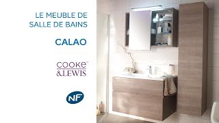 Meuble de salle de bains Calao COOKE amp LEWIS  Castorama [upl. by Aletha892]