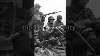 The Browning Automatic Rifle history weapons weaponsofwar innovation ww2 worldwar2 combat [upl. by Aggappe]