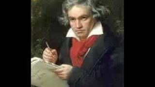 Beethoven Symphony No 7 in A Major Op 92 Allegretto [upl. by Eserrehs741]