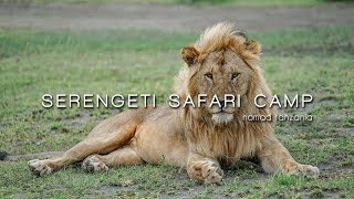 Serengeti Safari Camp  Safari in Ndutu with Nomad Tanzania [upl. by Noemys]