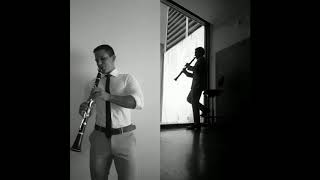 Sting  Englishman In New York  COVER  Luís Lopes Clarinet [upl. by Ailekat]