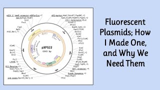 Editing A Plasmid  Synthetic Biology [upl. by Shipley744]