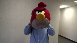 Jumbo Angry Birds Plush from ThinkGeek [upl. by Domenech]