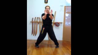 Hung Fa Yi Wing Chun Siu Nim Tau  3  紅花義詠春派小念頭 [upl. by Azirb]