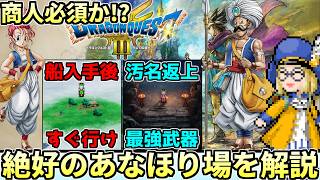 【壊れ装備を先取りしろ】ドラクエ3リメイクの絶好のあなほりスポットについて徹底解説！！これを見るだけで商人を仲間にしたくなるかも【ドラクエ解説】 [upl. by Abel]