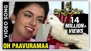 Oh Paavuramaa Video Song  Prema Paavuraalu Maine Pyar Kiya  Salman Khan  Bhagyashree [upl. by Wilmer]