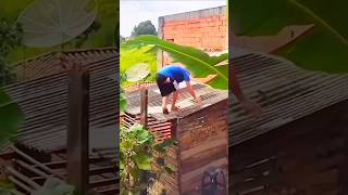 Roof Collapse 😳😳 shortvideos omg viral tiktok [upl. by Standley]