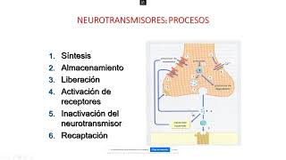 Farmacología  Neurotransmisores del Sistema Nervioso Central  Autacoides 11 [upl. by Arek219]